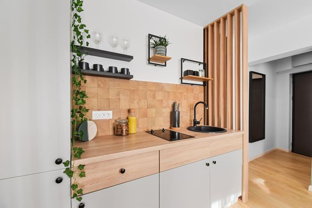 Mysa Modern Studio * Near Cismigiu Park * Netflix Bukareszt Zewnętrze zdjęcie